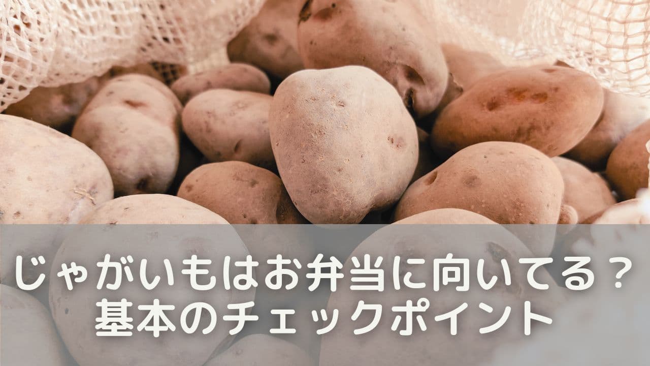 じゃがいもはお弁当に向いてる？基本のチェックポイント