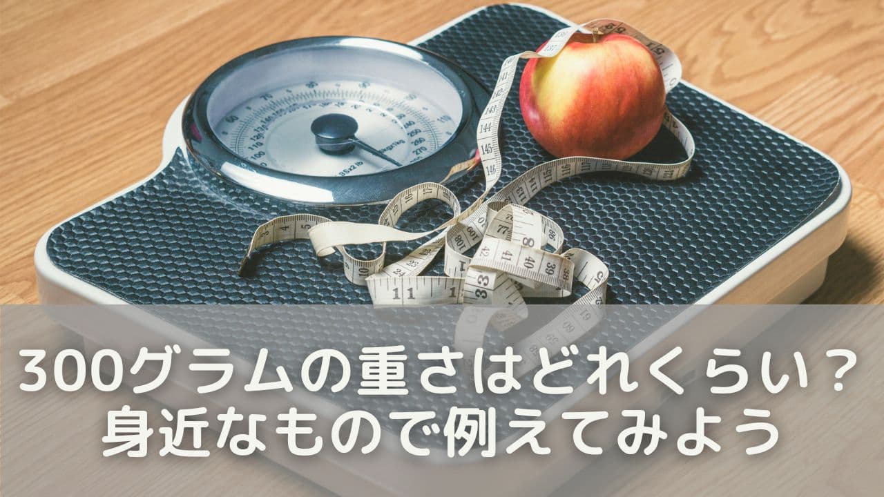 300グラムの重さはどれくらい？身近なもので例えてみよう