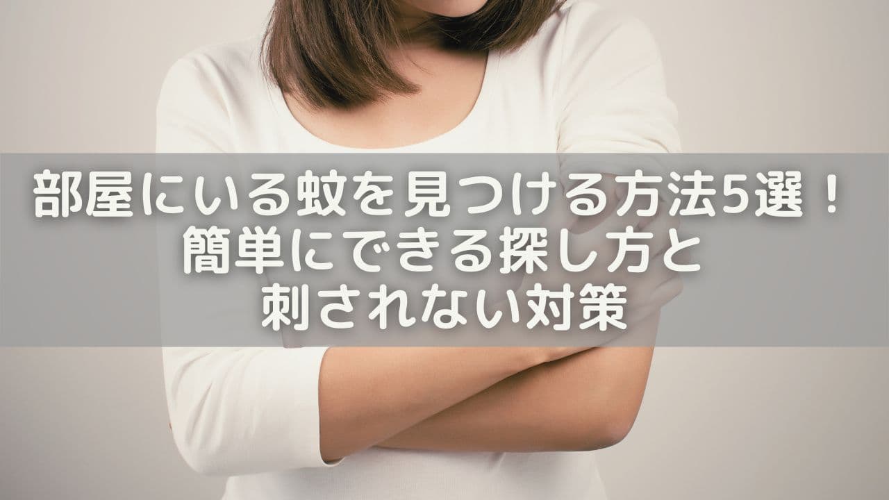 部屋にいる蚊を見つける方法5選！簡単にできる探し方と刺されない対策