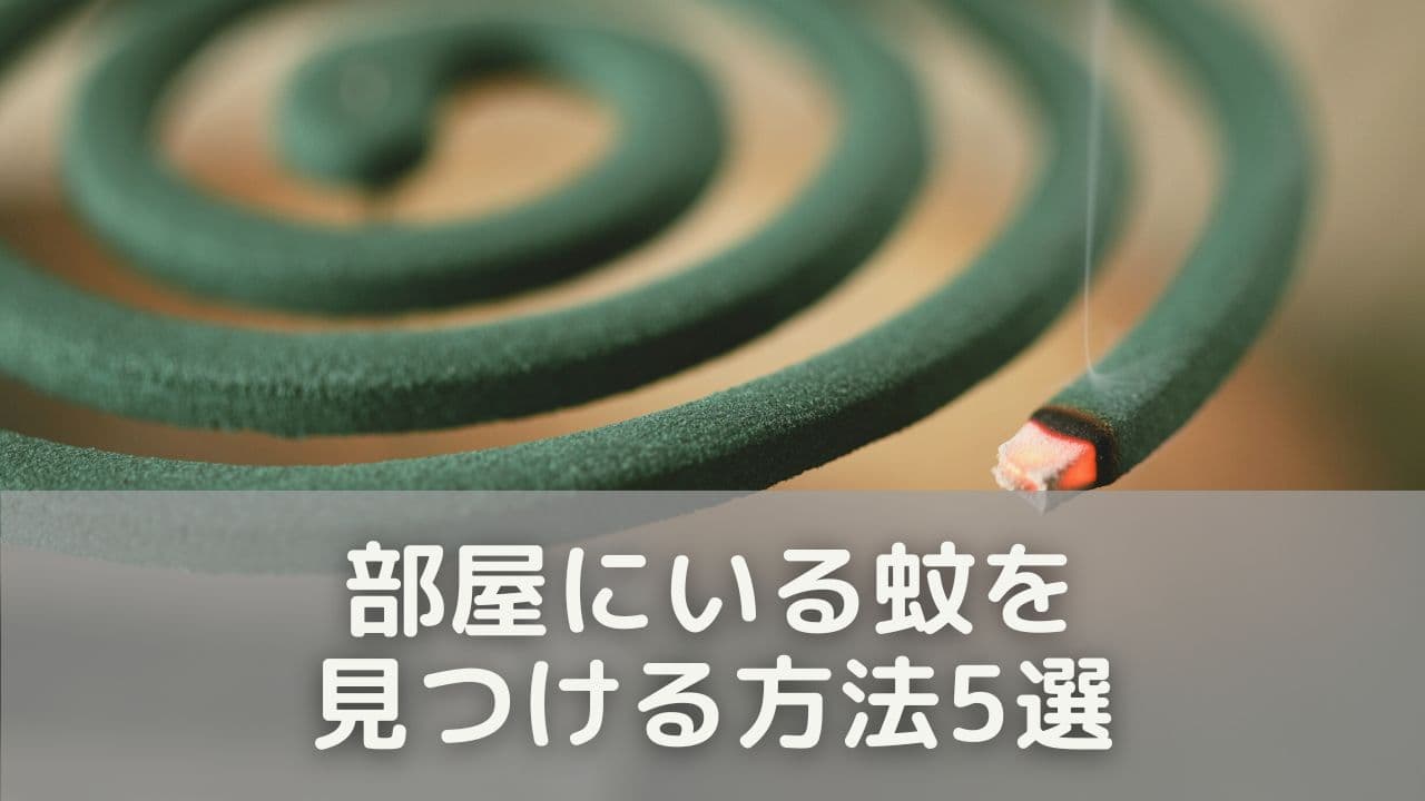 部屋にいる蚊を見つける方法5選｜簡単にできる探し方