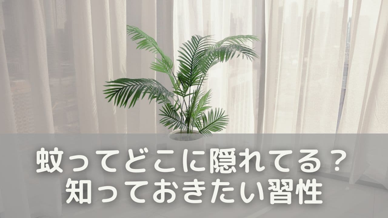 蚊ってどこに隠れてる？見つける前に知っておきたい習性