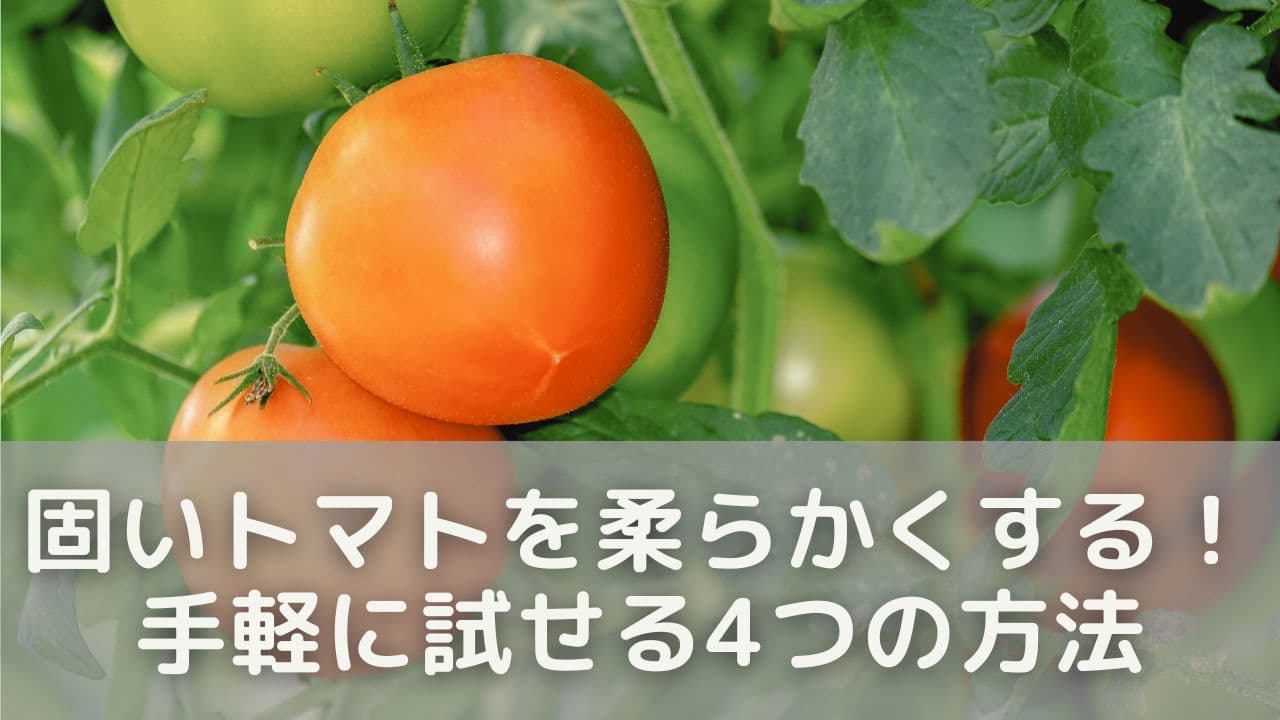 固いトマトを柔らかくする！手軽に試せる4つの方法