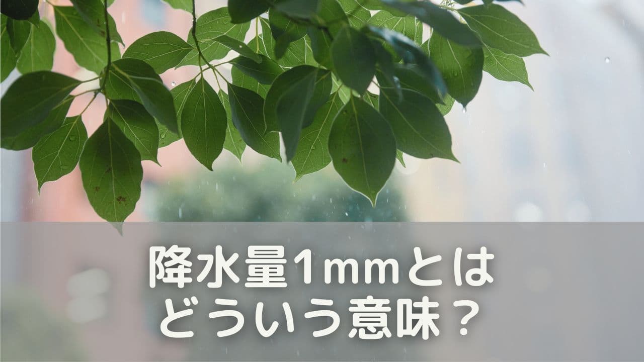 降水量1mmとは？天気予報の「1mm」はどういう意味？