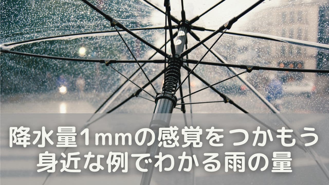 降水量1mmの感覚をつかもう｜身近な例でわかる雨の量