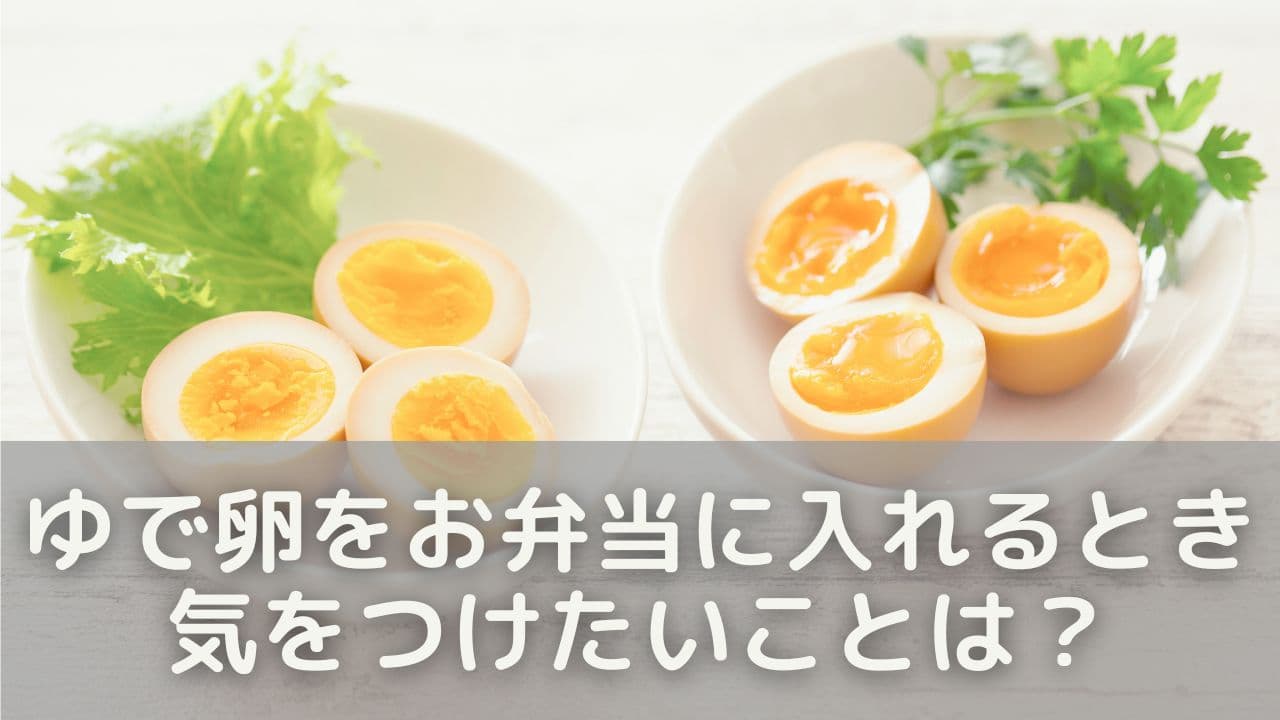 ゆで卵をお弁当に入れるとき、気をつけたいことは？