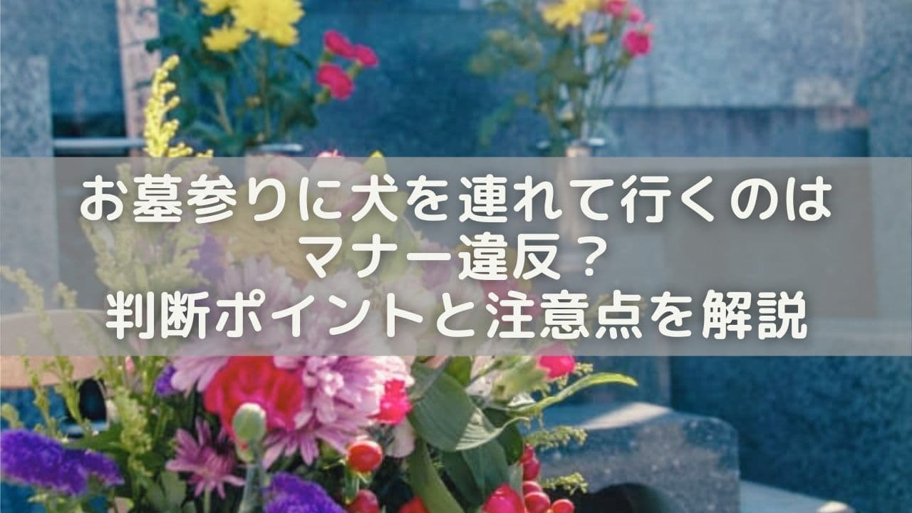 お墓参りに犬を連れて行くのはマナー違反？判断ポイントと注意点を解説