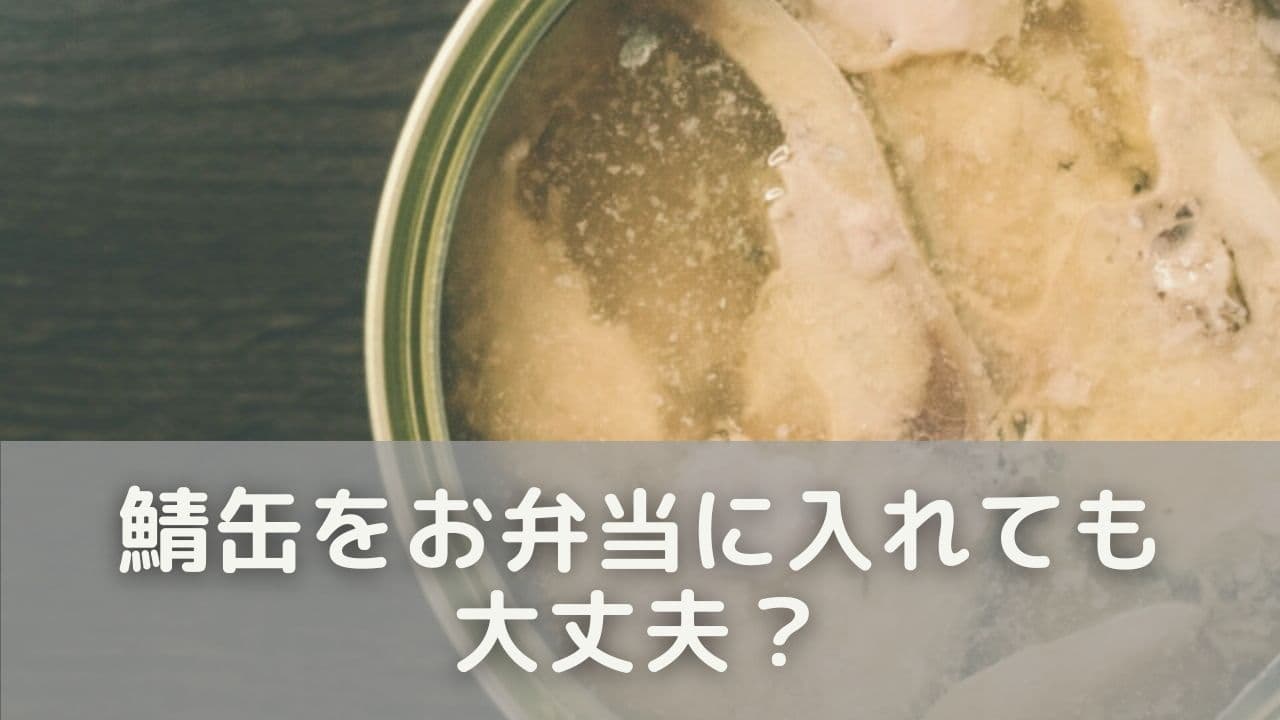 鯖缶をお弁当に入れても大丈夫？不安を解消するポイント