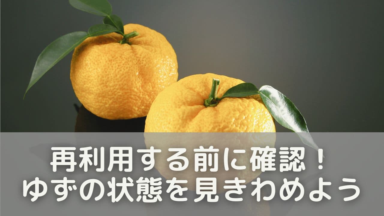 再利用する前に確認!ゆずの状態を見きわめよう