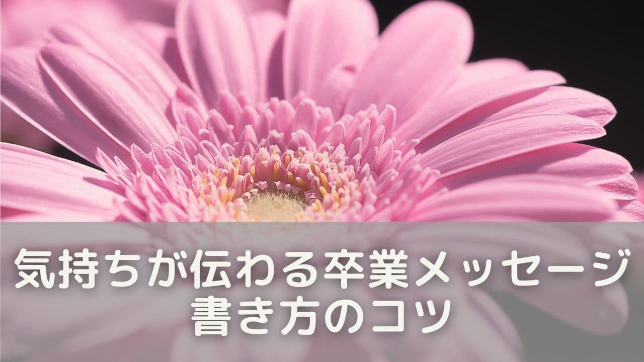 気持ちが伝わる卒業メッセージにする書き方のコツ